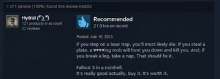 Illustration for article titled Fallout 3, As Told By Steam Reviews